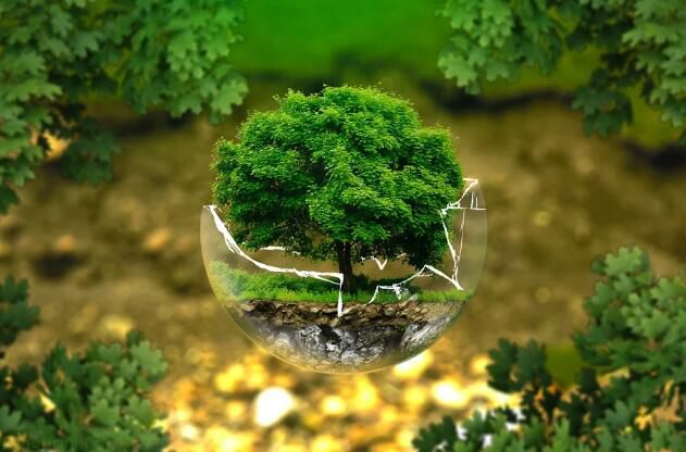 碳汇计量评估师，2023年热门职业