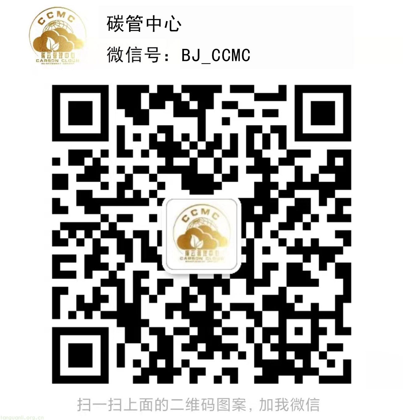 碳管中心.jpg
