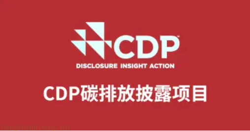 CDP 认证：优点与价值