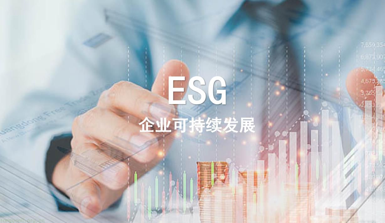 ESG管理（世界500强-英语可作为工作语言） 25-50k