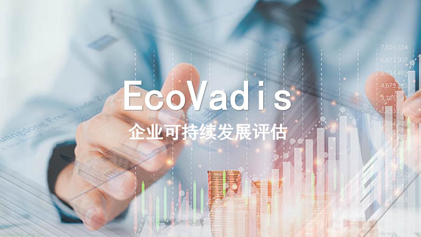 探究EcoVadis平台问卷差异与评估时长