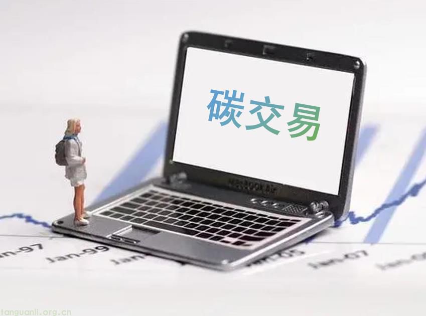 个人怎么参与碳交易？