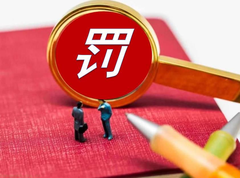企业因碳排放数据不准确而被处罚案例