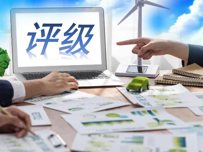 ESG 评级：企业发展的 “必需品” 还是 “奢侈品”？所有企业都适配？