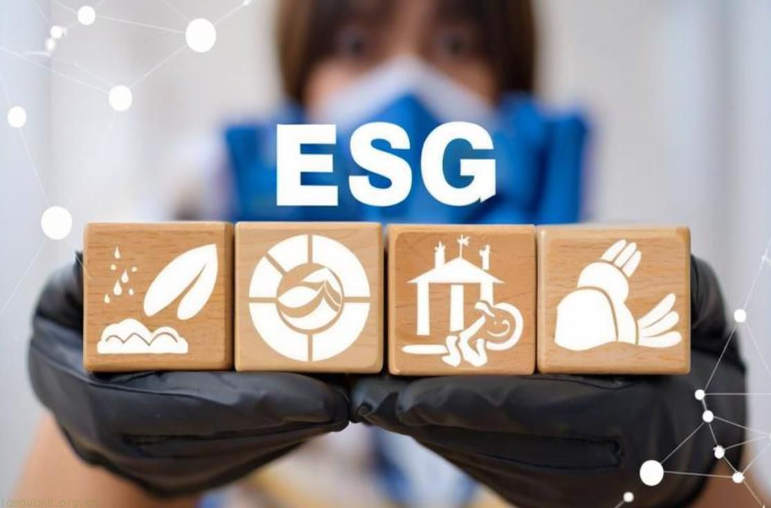 企业管理人员必考ESG分析师的五大战略逻辑，从合规生存到价值创造，ESG能力正在重构商业领导力！