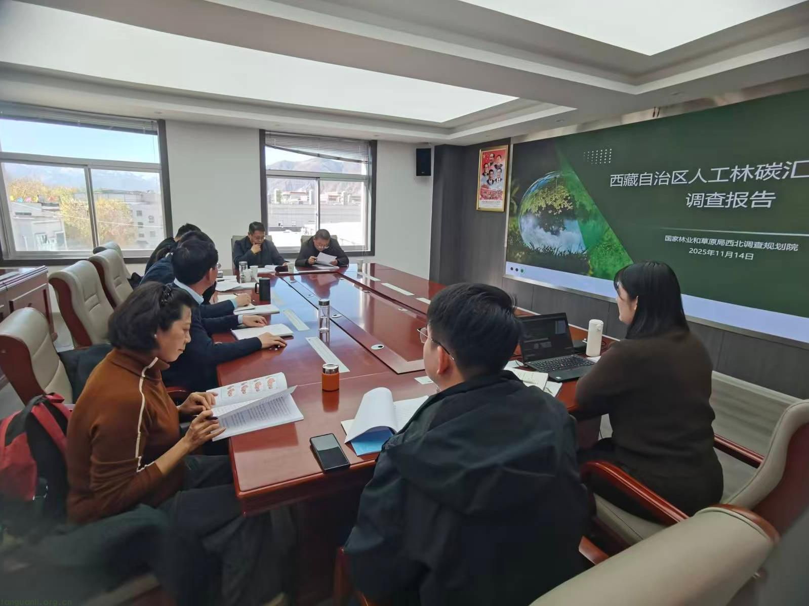 西藏林草局组织专家评审会 《人工林碳汇开发潜力调查报告》获一致通过(图1)