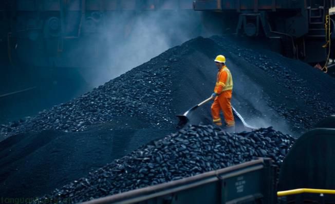 山西煤炭进出口集团左权鑫顺煤业生产能力等要素信息公告