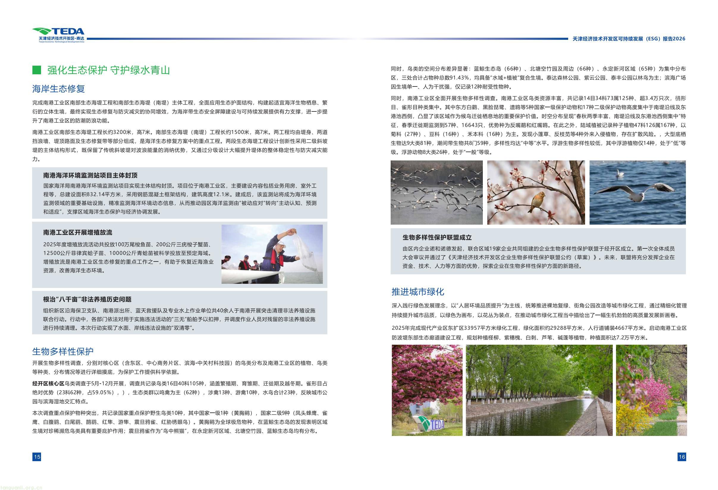 339fc0307a5c42cebcfac5ace34069bb(12).jpg