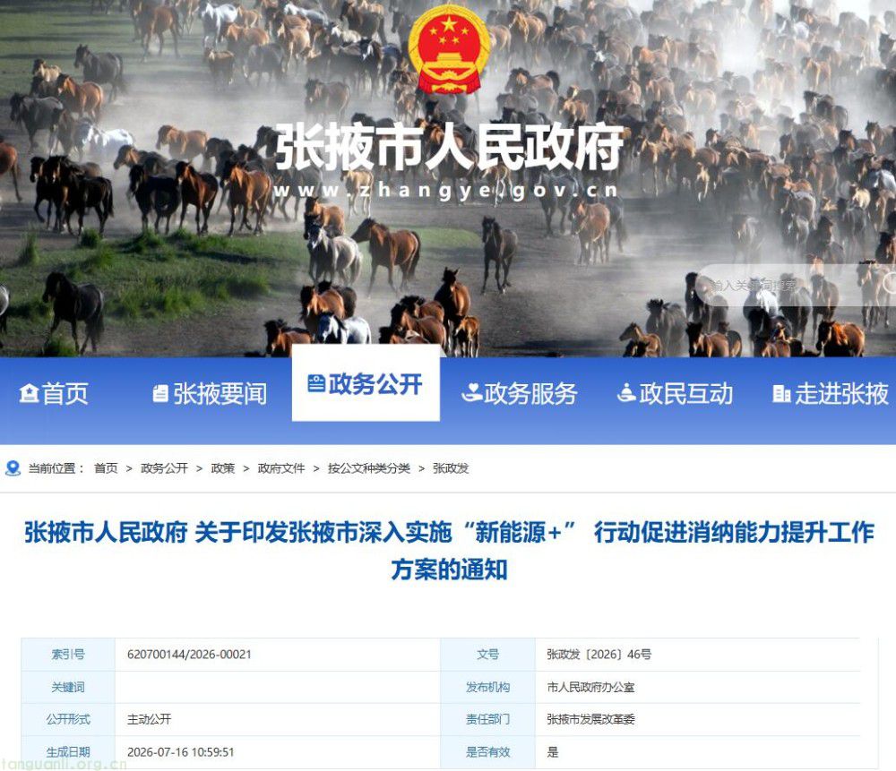 算电协同 + 碳资源利用!甘肃张掖探索新能源就地消纳新路径(图1)