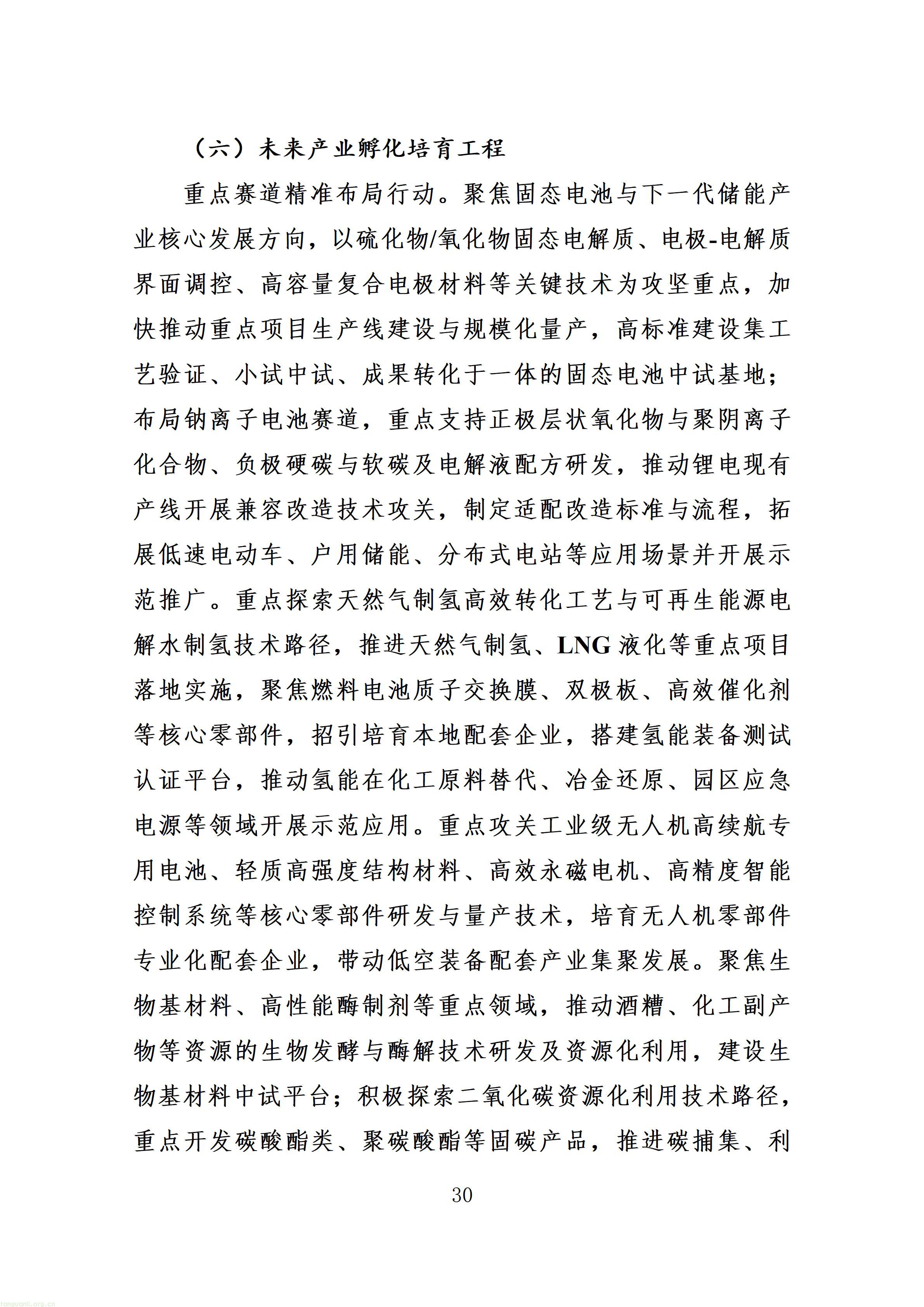 附件：射洪市“十五五”新型工业化发展规划（征求意见稿）_34.jpg