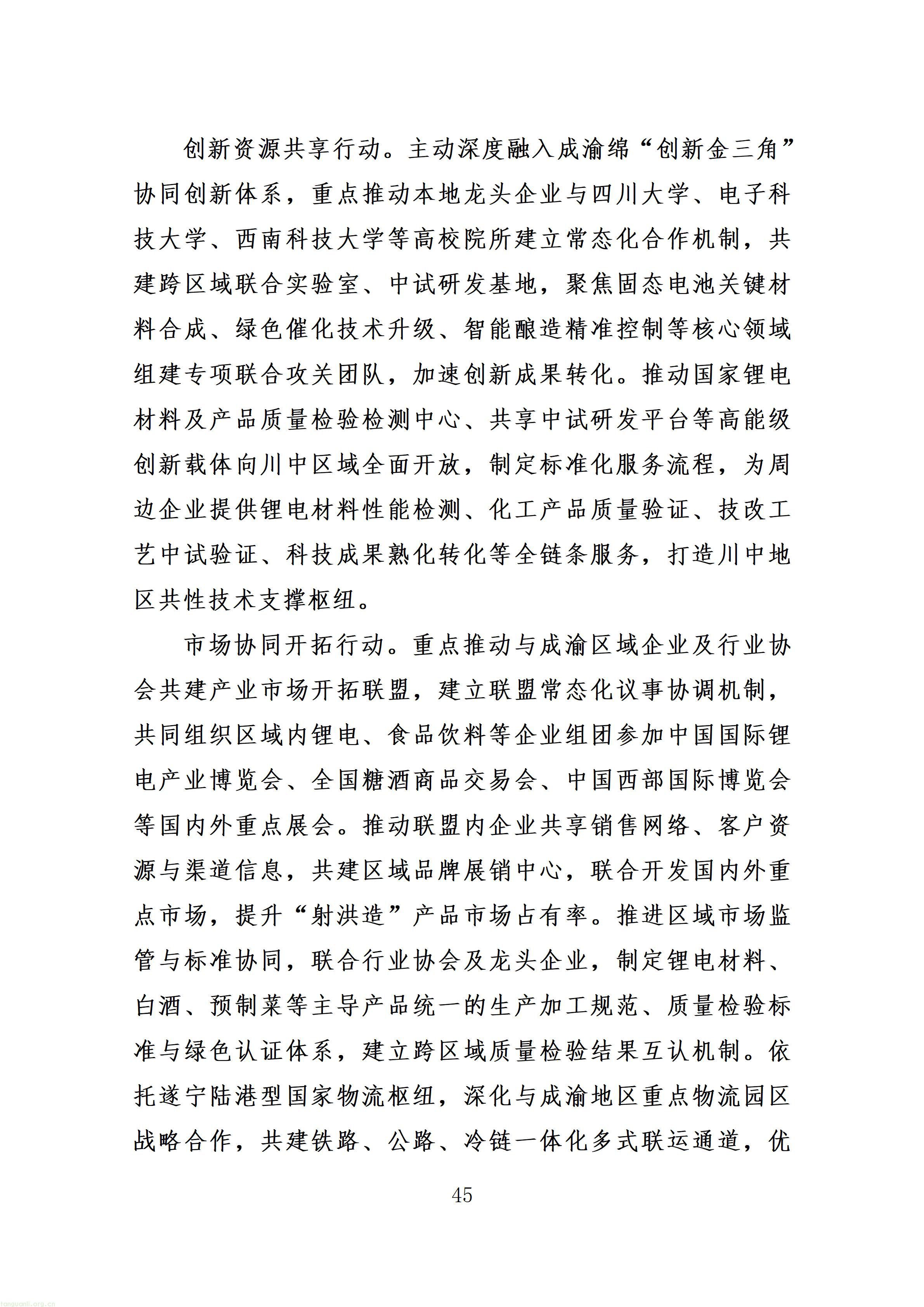 附件：射洪市“十五五”新型工业化发展规划（征求意见稿）_49.jpg